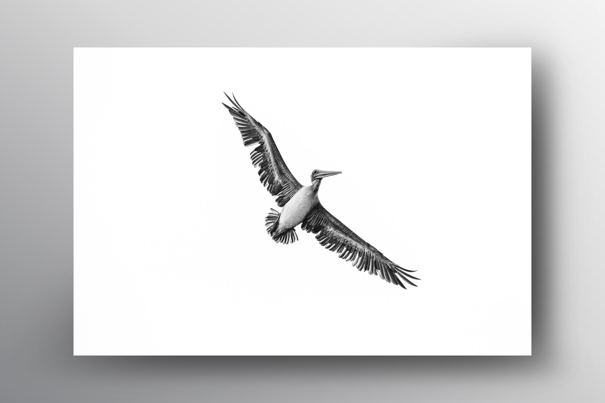 Whoosh III-Floating Frame-Lukas Griffin.jpg