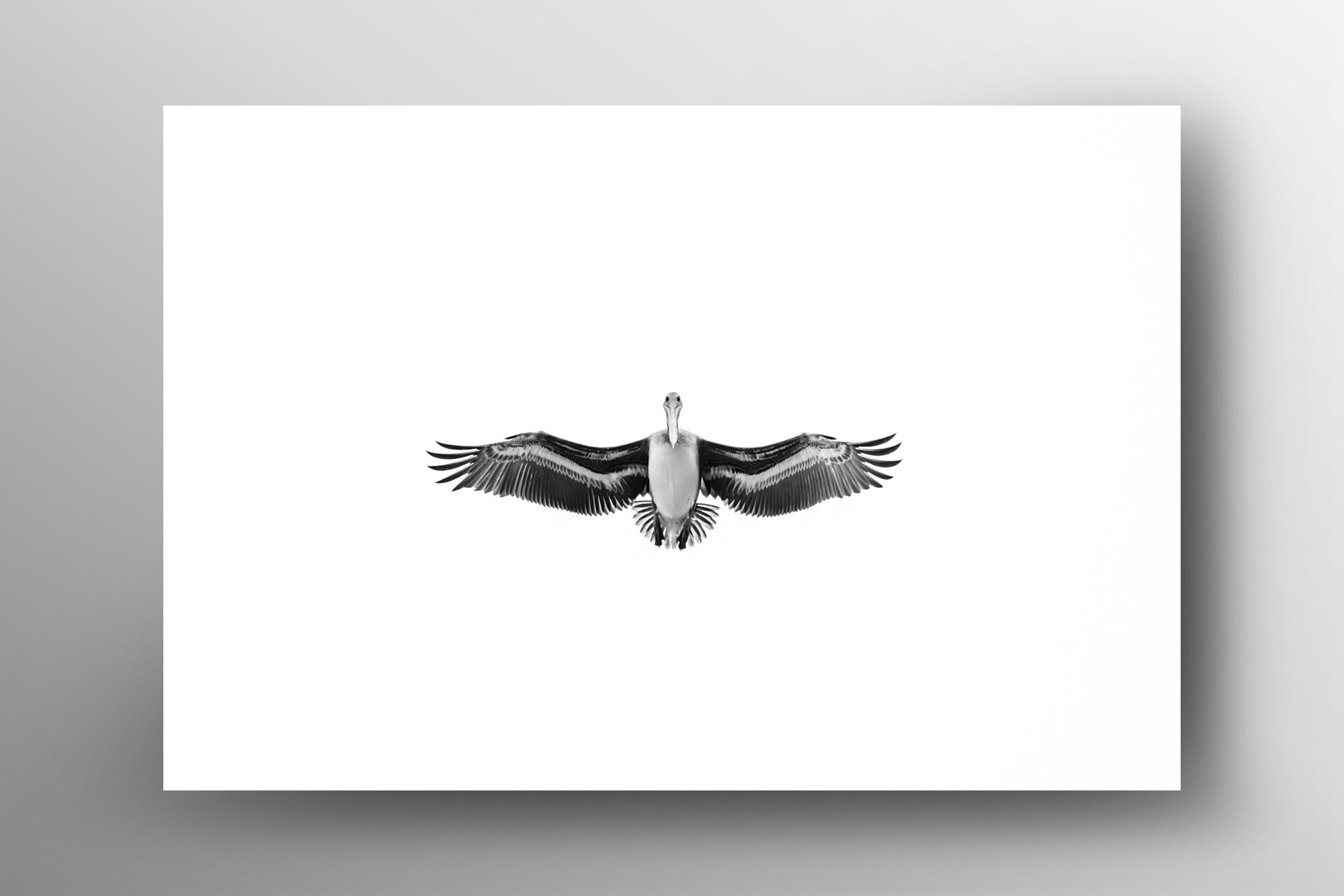Whoosh - Floating Frame-Lukas Griffin.jpg