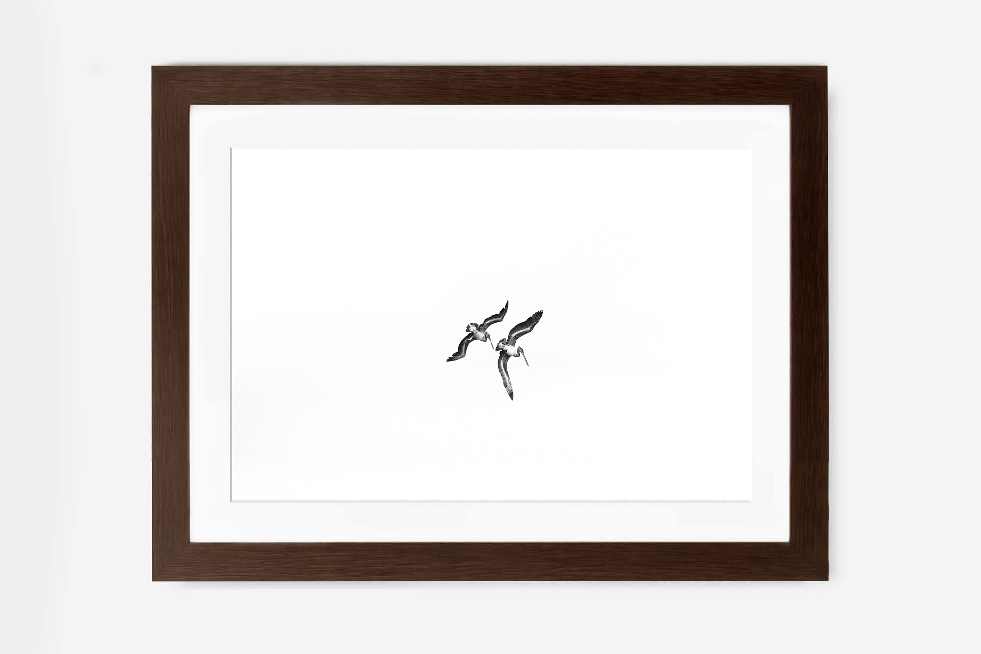 Amore-Dark Walnut-Lukas Griffin.jpg
