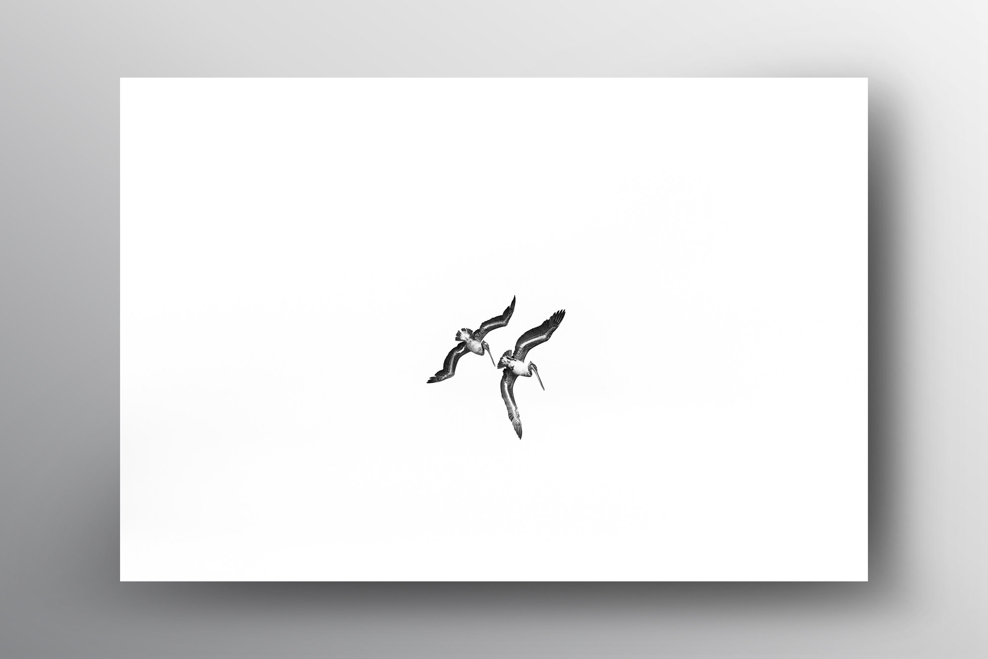 Amore-Floating Frame-Lukas Griffin.jpg