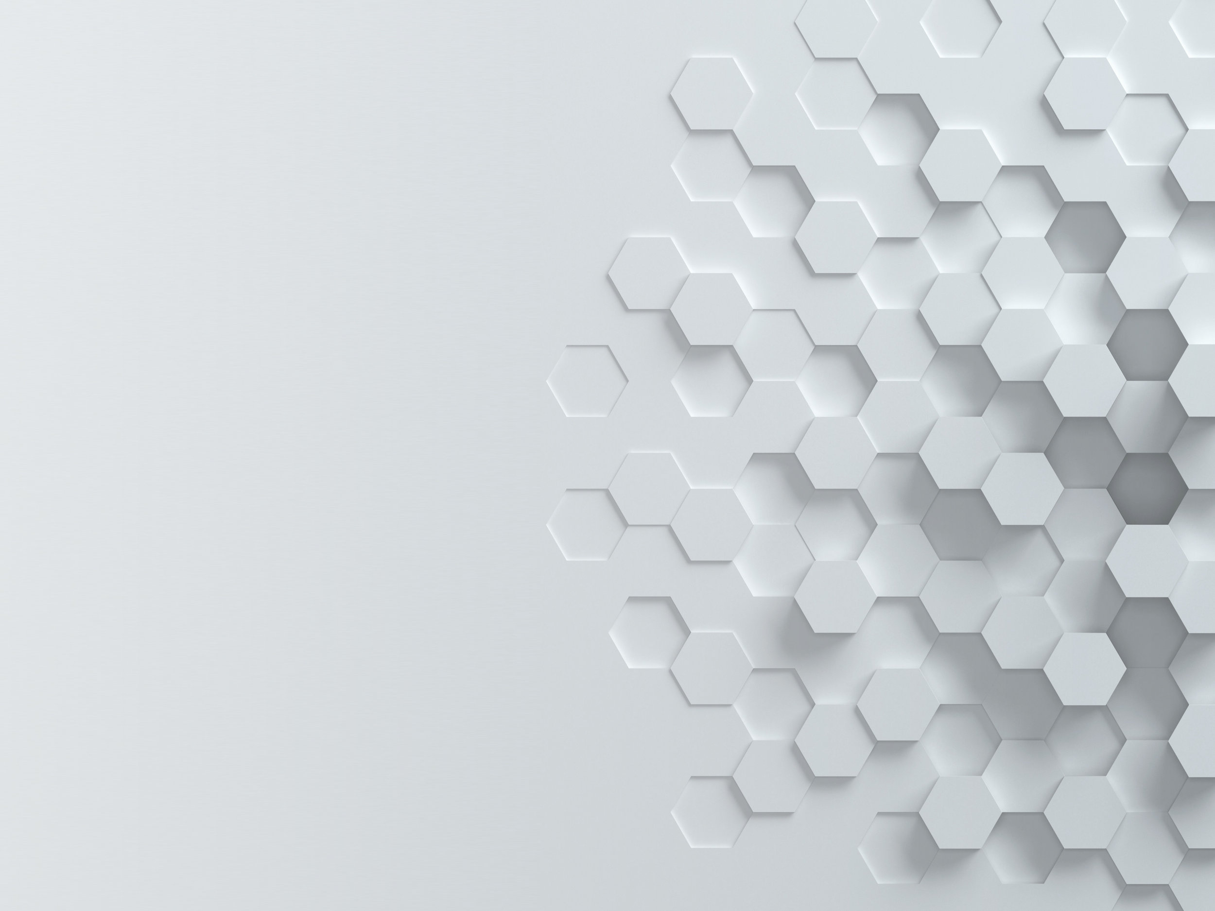 Hilton_Aboutus_Banner.jpg