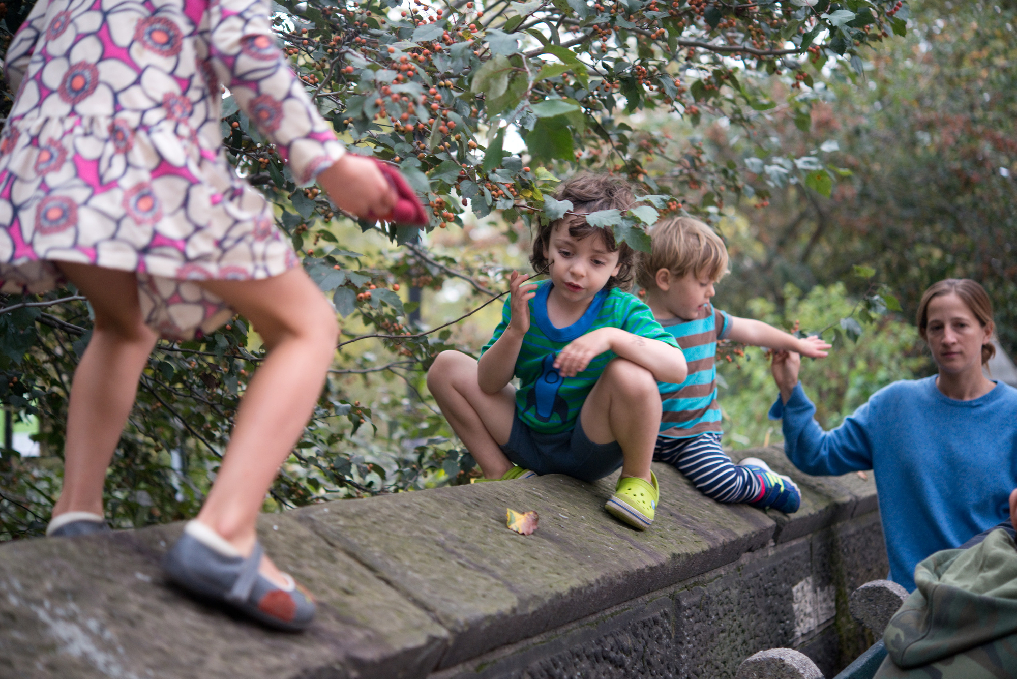 Lessons "Effortless Squatting", "Toward Japanese Sitting"; Search "kids at Central Park," 2018