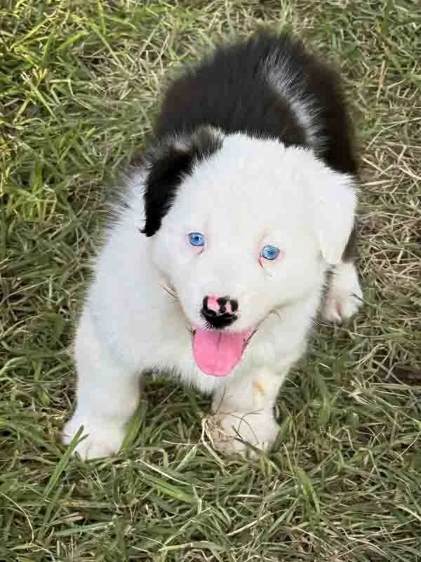 Chapel- Available $2,200