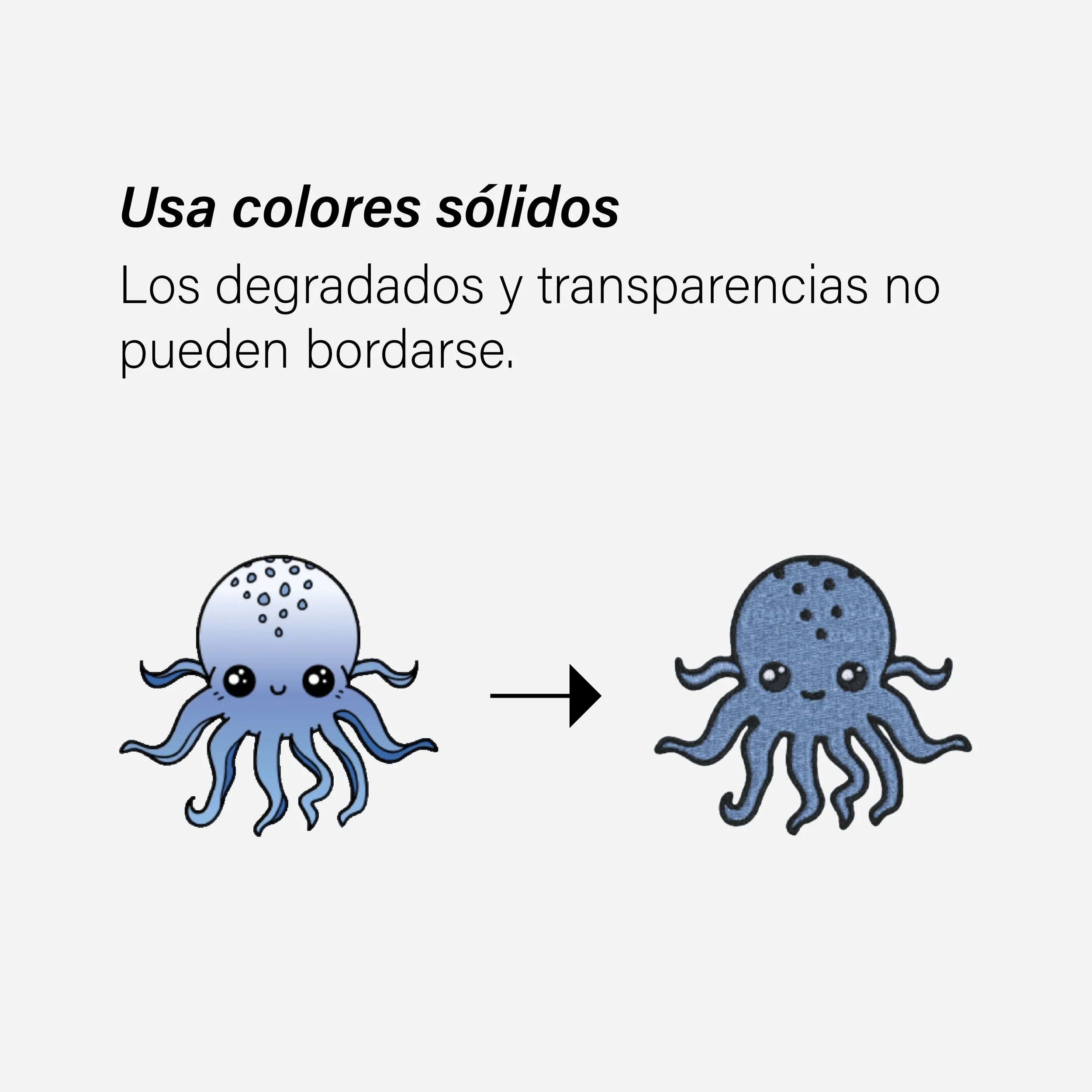 Guía de Bordado-Resumen-05.jpg