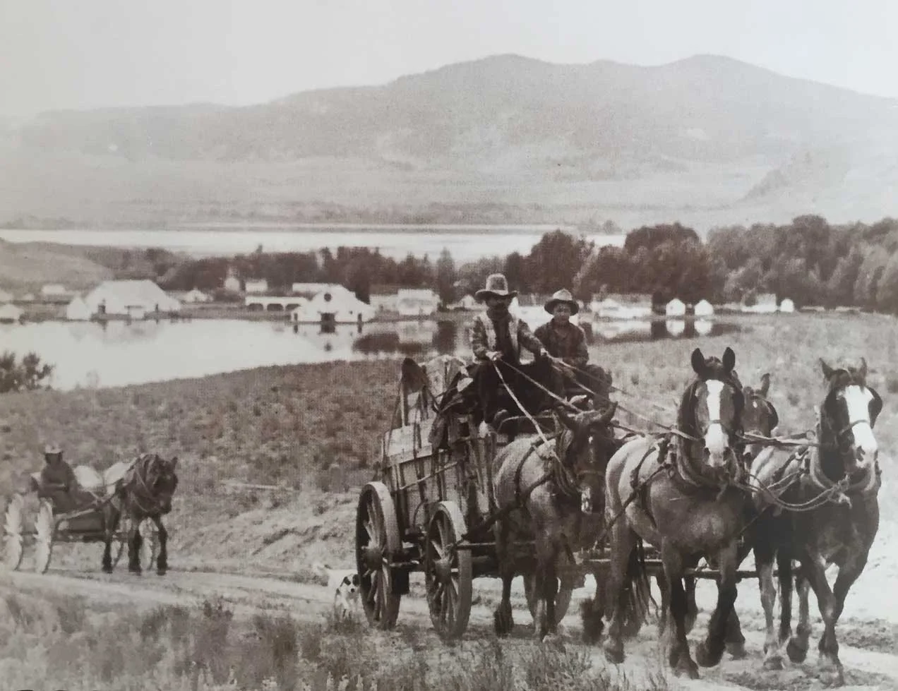 Ranch + Cattle — Douglas Lake Ranch