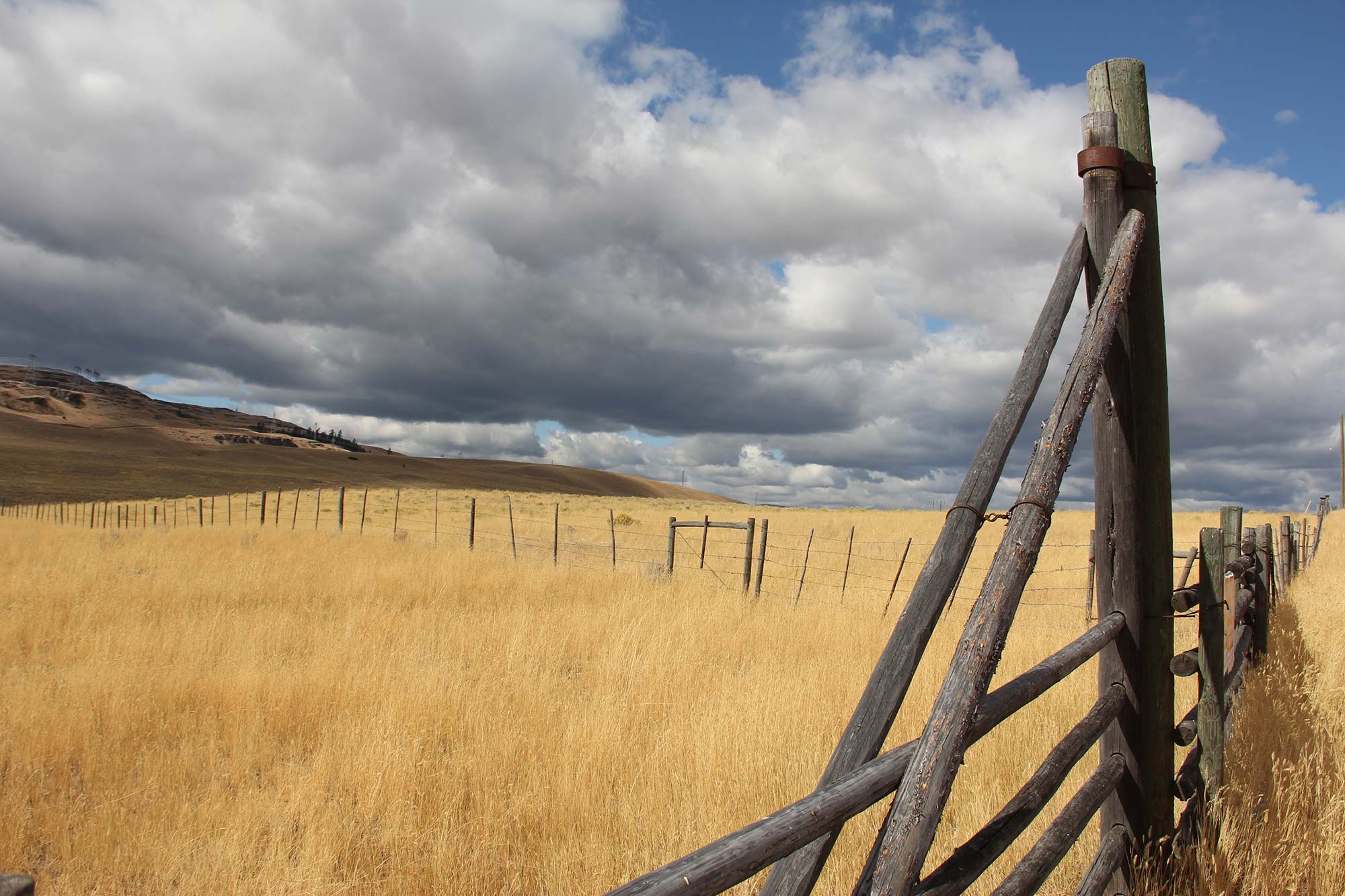 Ranch Operations — Douglas Lake Ranch