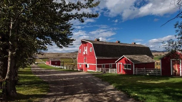 Gang Ranch — Douglas Lake Cattle Co