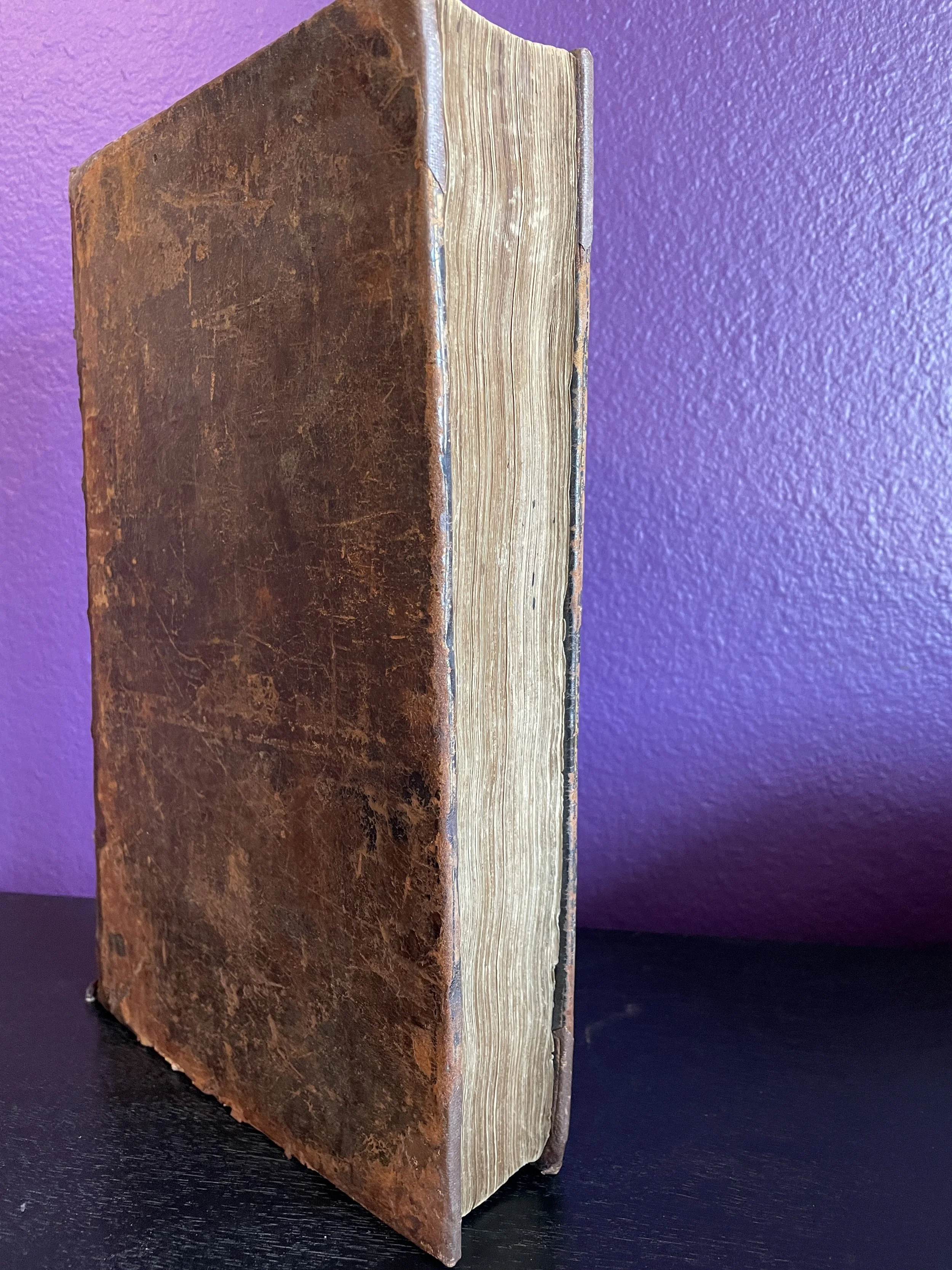 IMG_7868.JPG