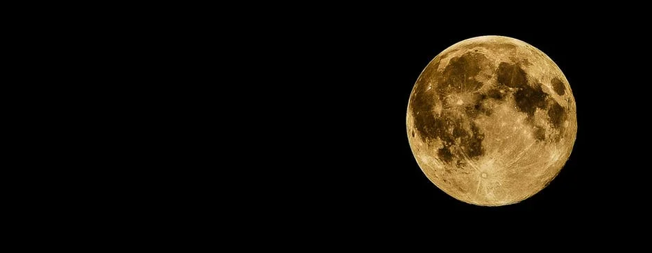 HARVEST MOON
