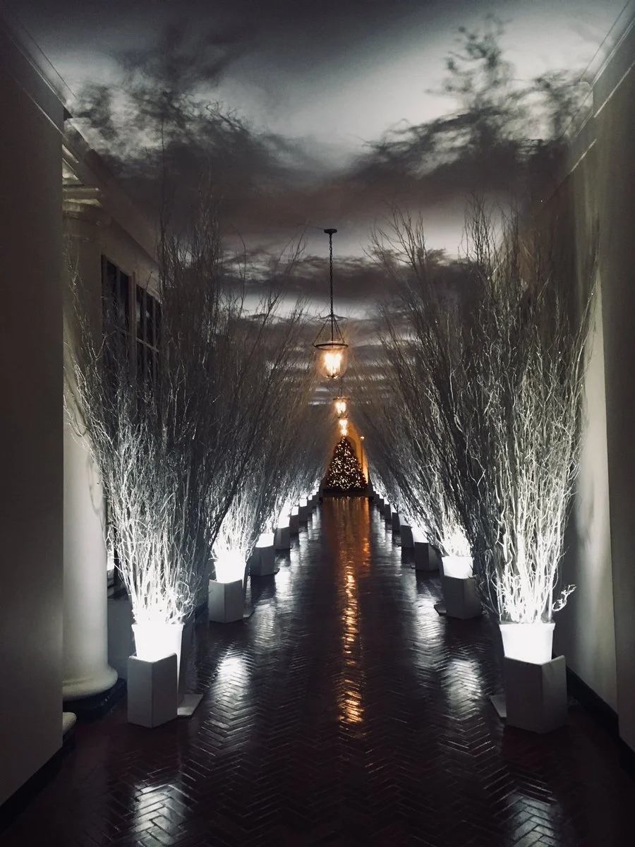 How to Get That Nuclear Winter Look from 1600 Penn to Your Own Den!