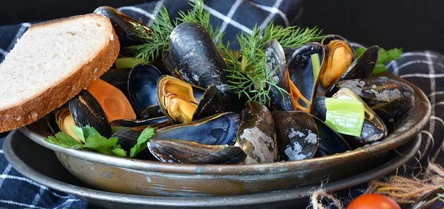 mussels-3148439_640.jpg