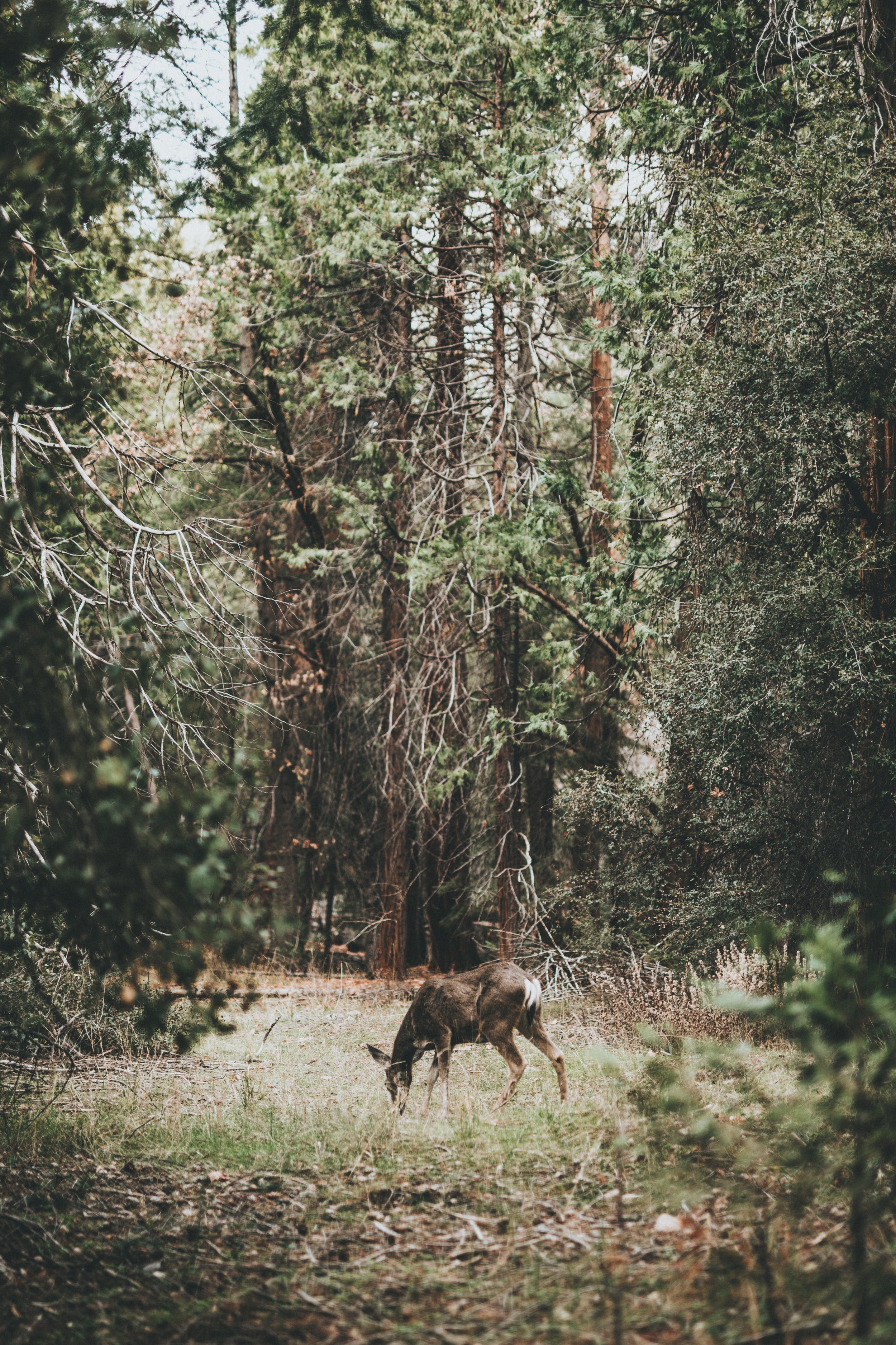 Two Poems
