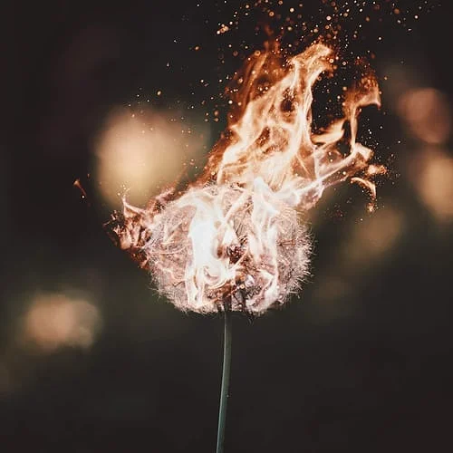 Two Poems by Teo Mungaray