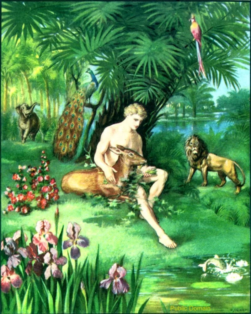 Genesis 1 and 2 episode artwork