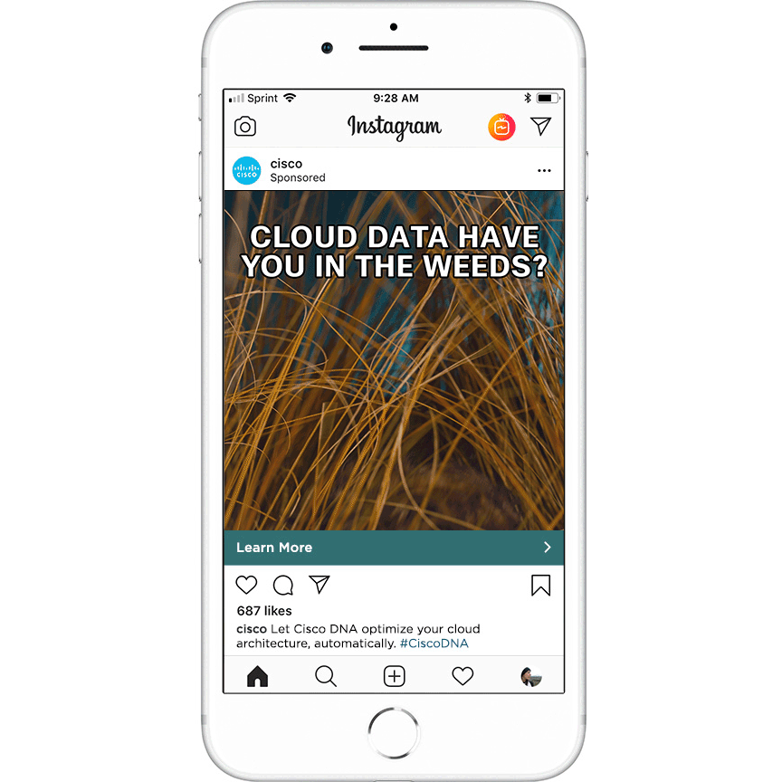 Cisco_Instagram_weeds_v2.gif