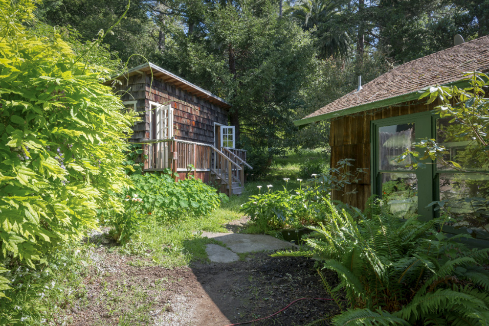 Venture-Retreat-Center-Nasturtium-Cabin-Walkway.jpg