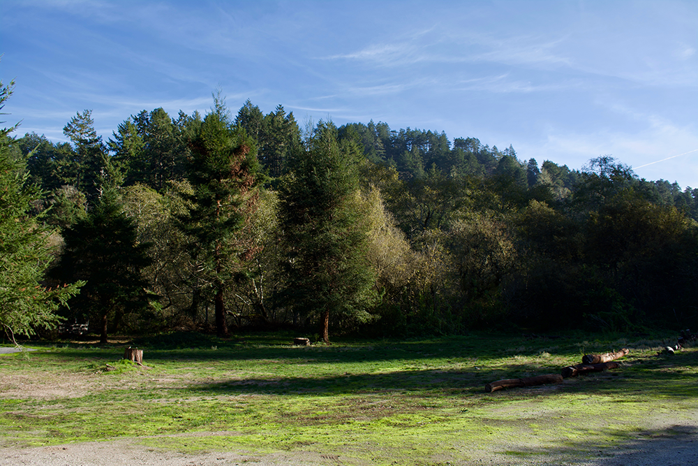 Venture-Retreat-Center-Nature-Camping-Meadow-2.png