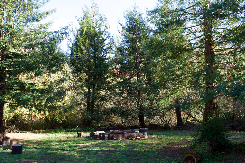 Venture-Retreat-Center-Nature-Camping-Meadow-Campfire.png