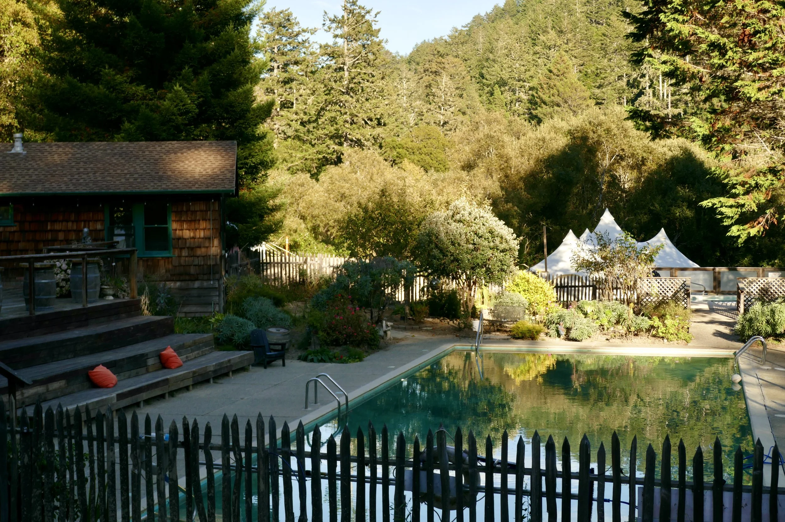 Copy of pool forest reflection.jpeg