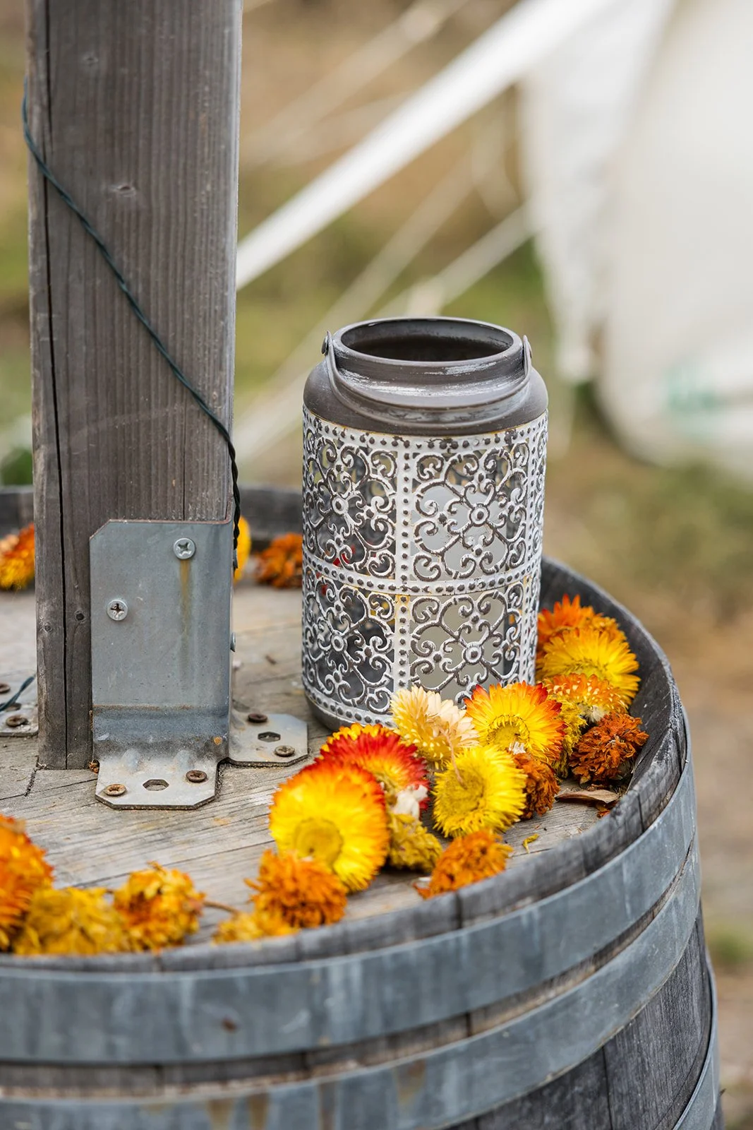 HopesLens-C&JH-Wedding-58.jpg