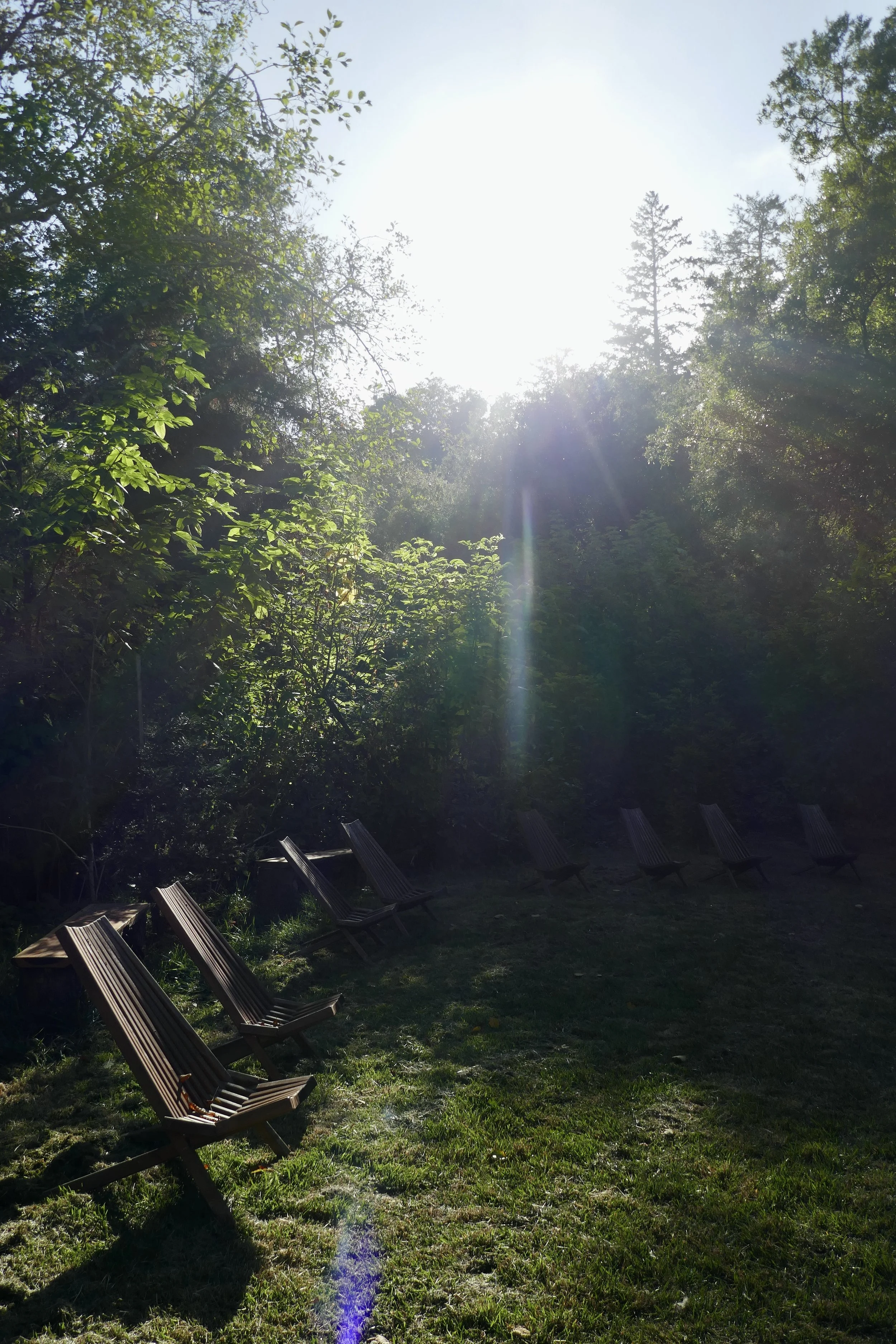 4D20378B-46DC-43F7-AE56-3292A33BEB75_1_201_a.jpeg