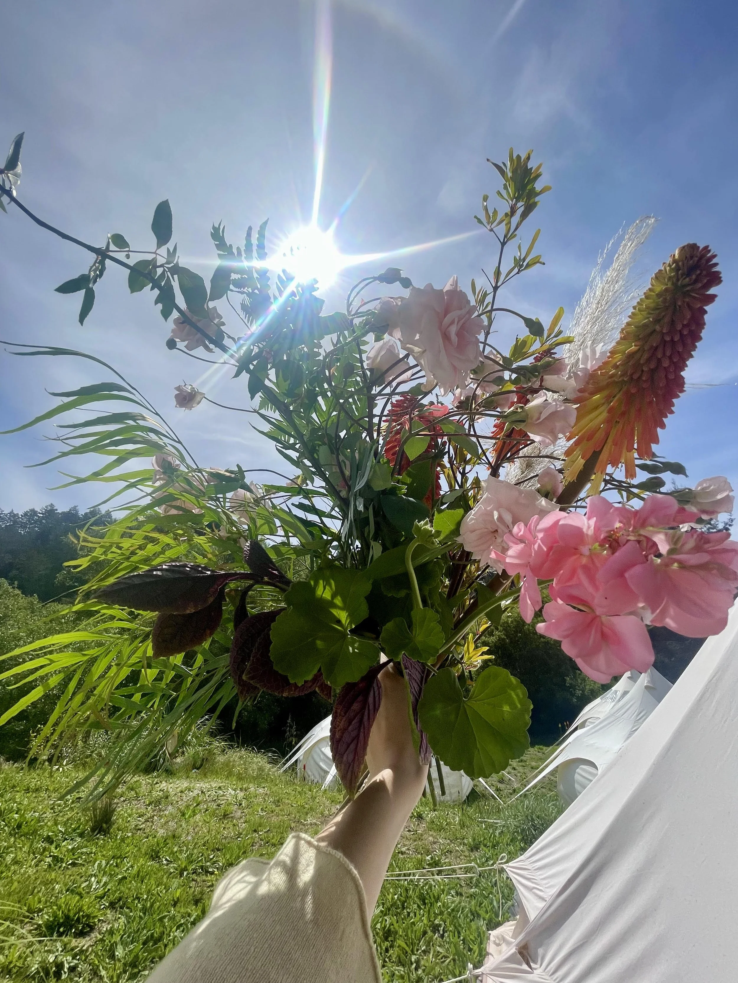 spring flowers.jpg