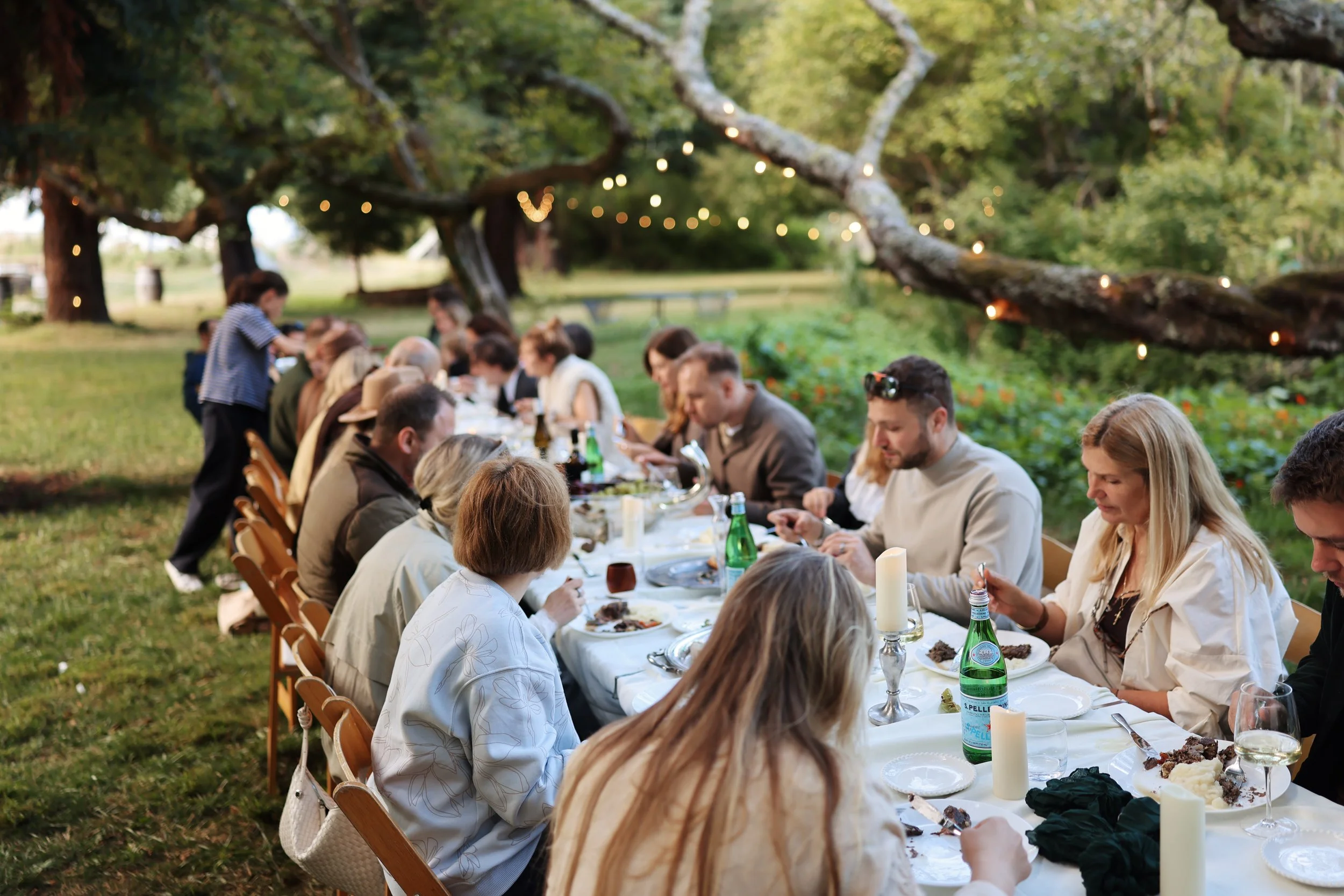 plein air dinner.jpg