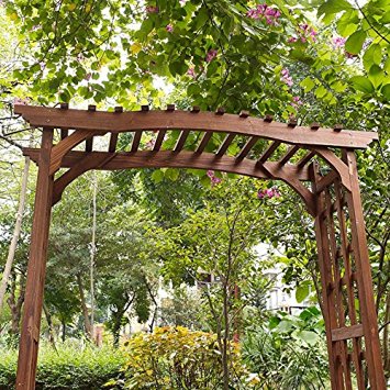 Wooden Arch_top.jpg