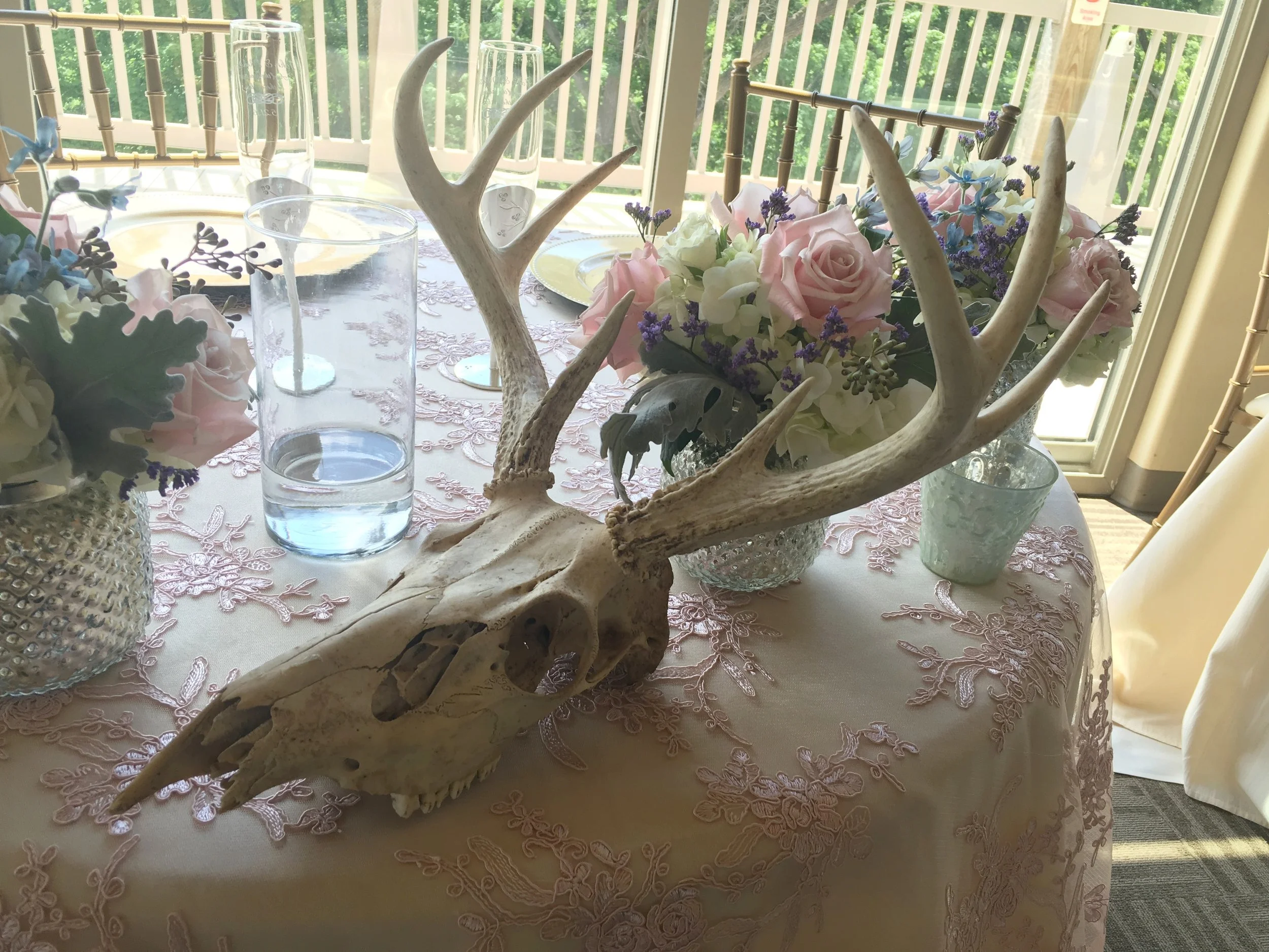 2016-05-21 13.53.38.jpg