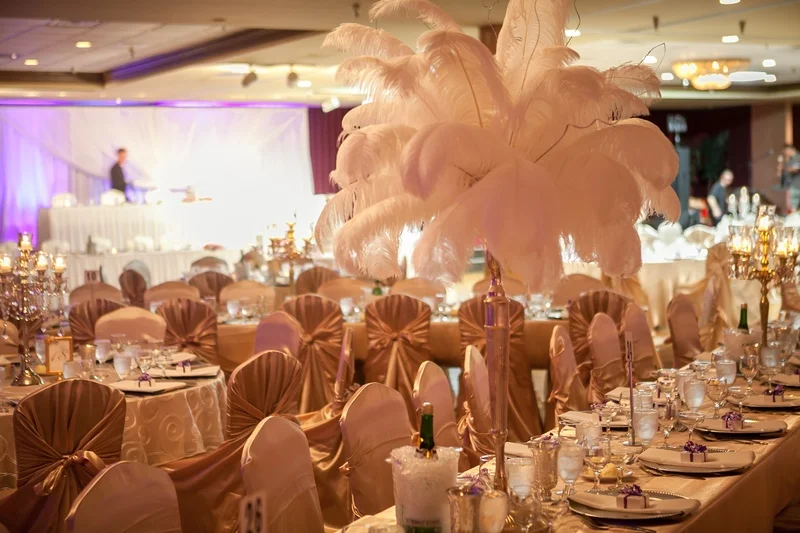 ostrich feather.jpg