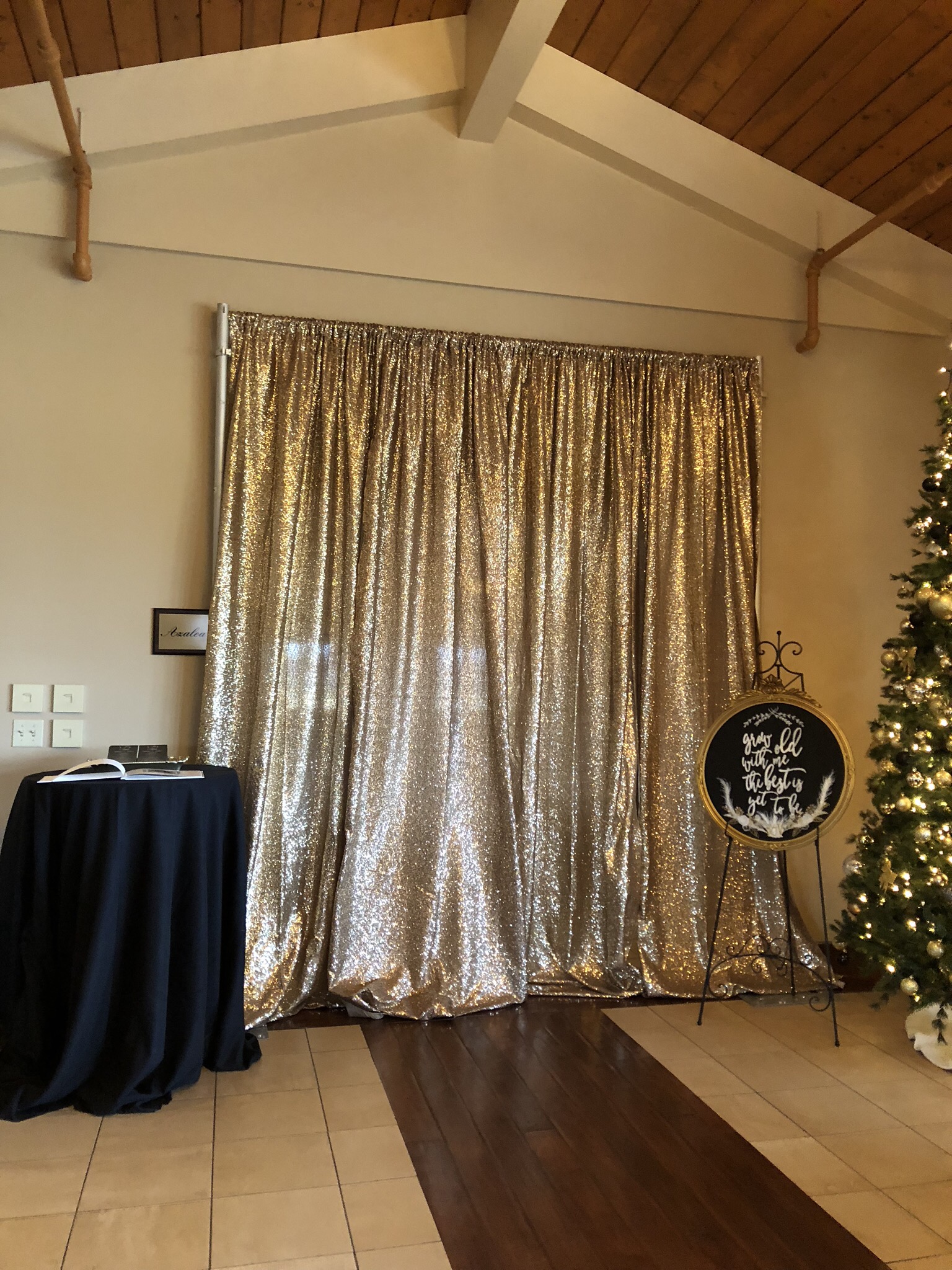 sequin champagne gold backdrop.jpg