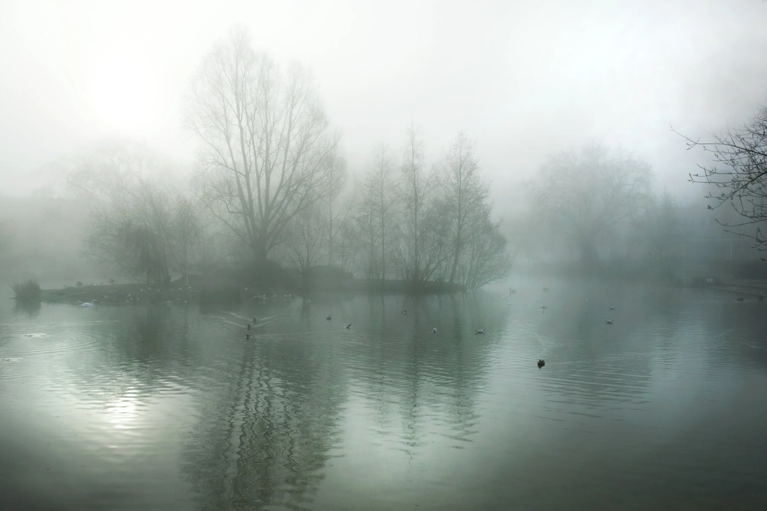 Barnes Pond in the mist #3