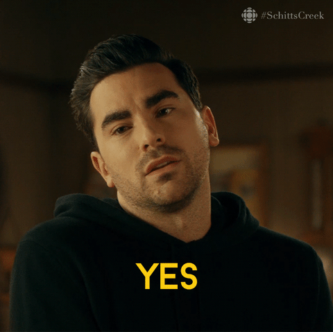 david rose yes.gif