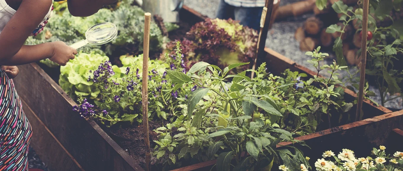bigstock-Group-of-children-planting-veg-179973097.jpg