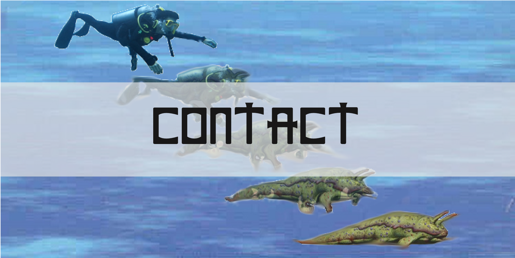 contact_text.png