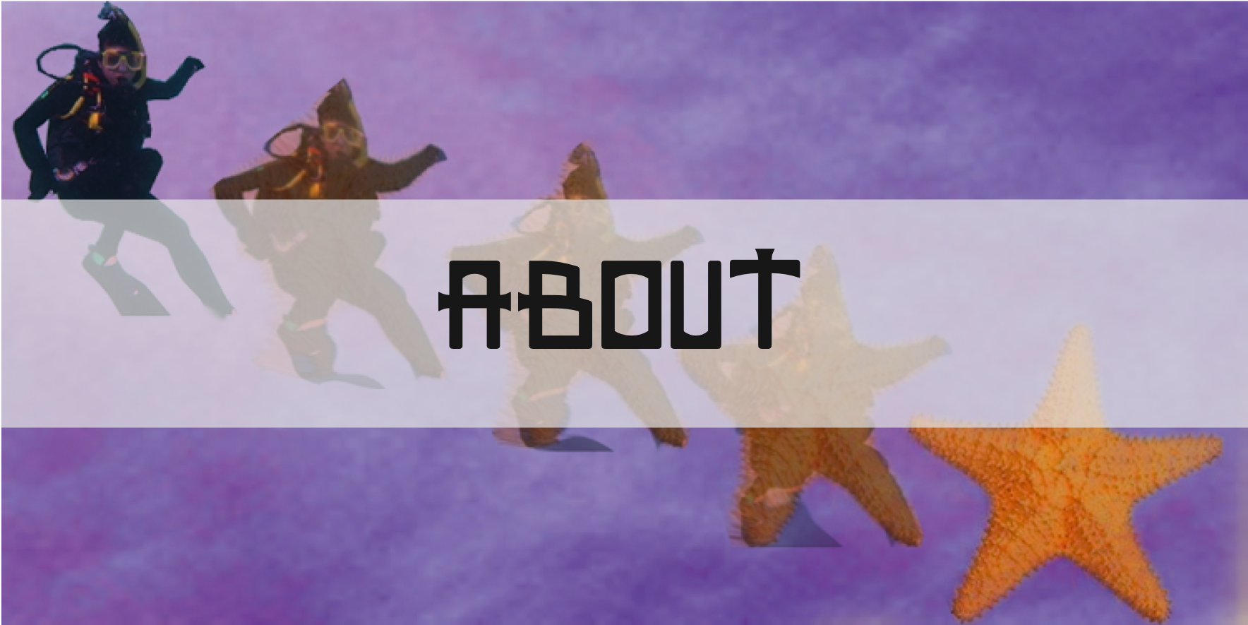 about_text.png
