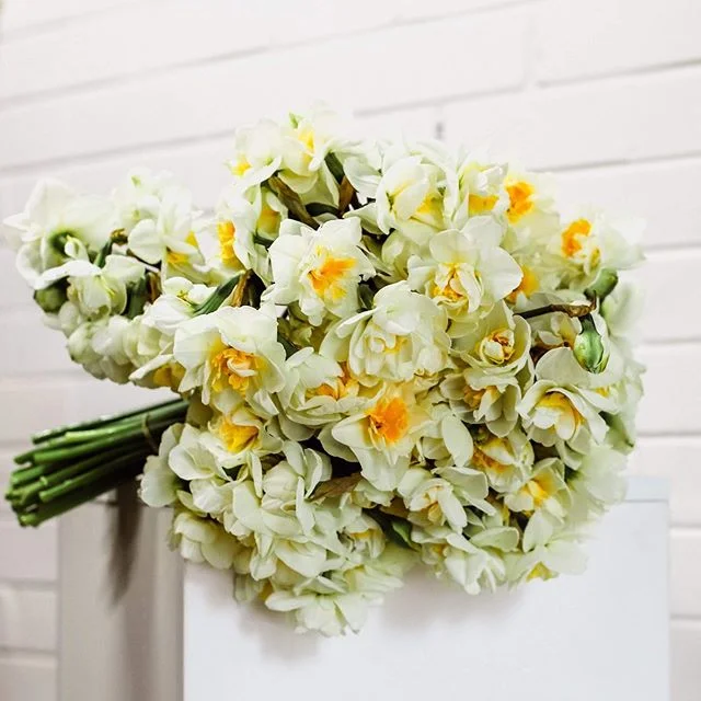 The daff obsession continues... Monday's posy is up on the website now 😍