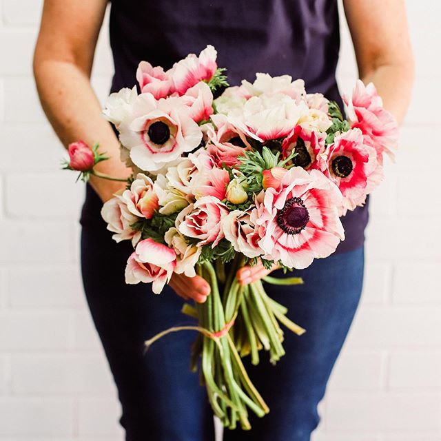 Pretty anemone's in tomorrow's posies...❤️
Another one of our Spring-time faves 😍