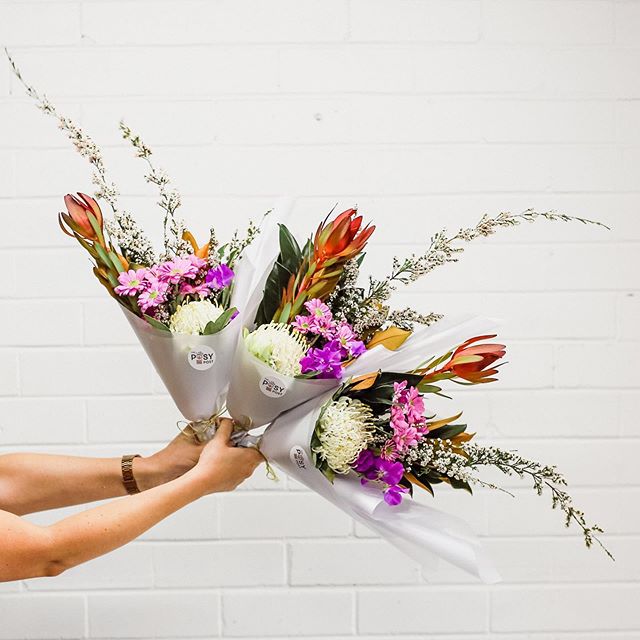 Posy Alert for 28th September | Saturday's posy features waratah, daisy, leucadendron, sweet pea, micromyrtus and little gem.⠀
⠀
Unfortunately, we're sold out for tomorrow. 😥 ⠀
⠀
TPP x