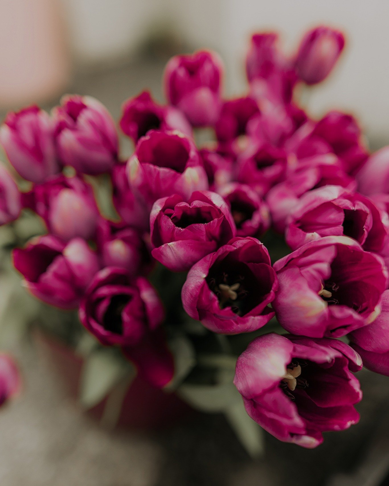 Tomorrow's posies are full of purple pretties 💜

#weekendvibes #newcastleflorist #flowerdeliverynewcastle
#flowerdeliverylakemacquarie #flowerdeliverymaitland
