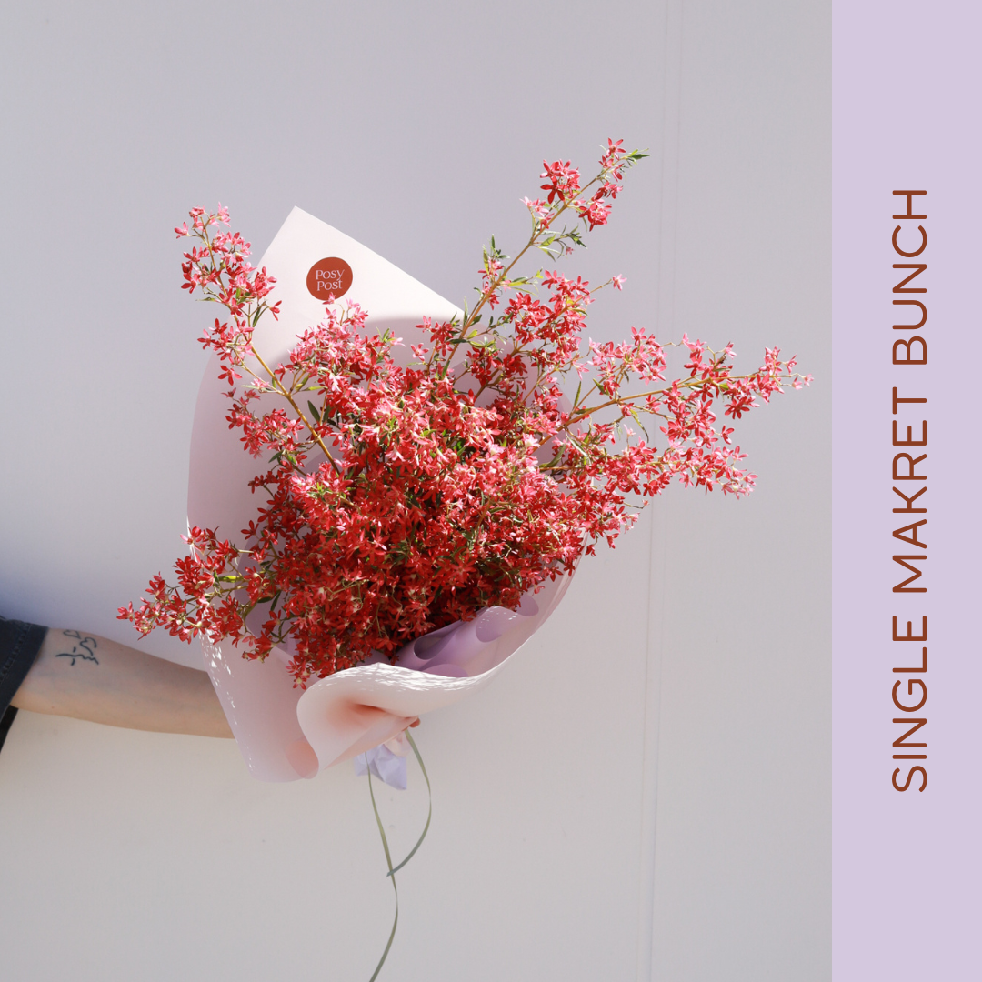 Dailies WEBSITE PHOTOS - NEW BRAND-3.png