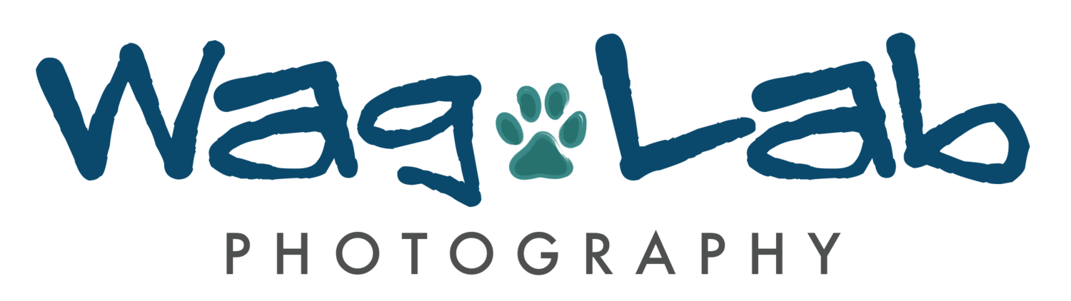 WagLab Photography