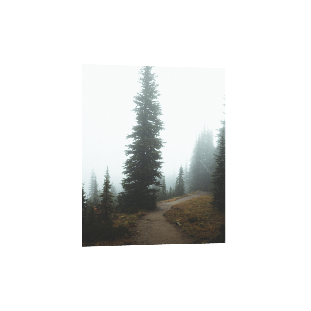 ptq_1_6_0_0_4000_5000_0_false_ffffff_0_0_.png