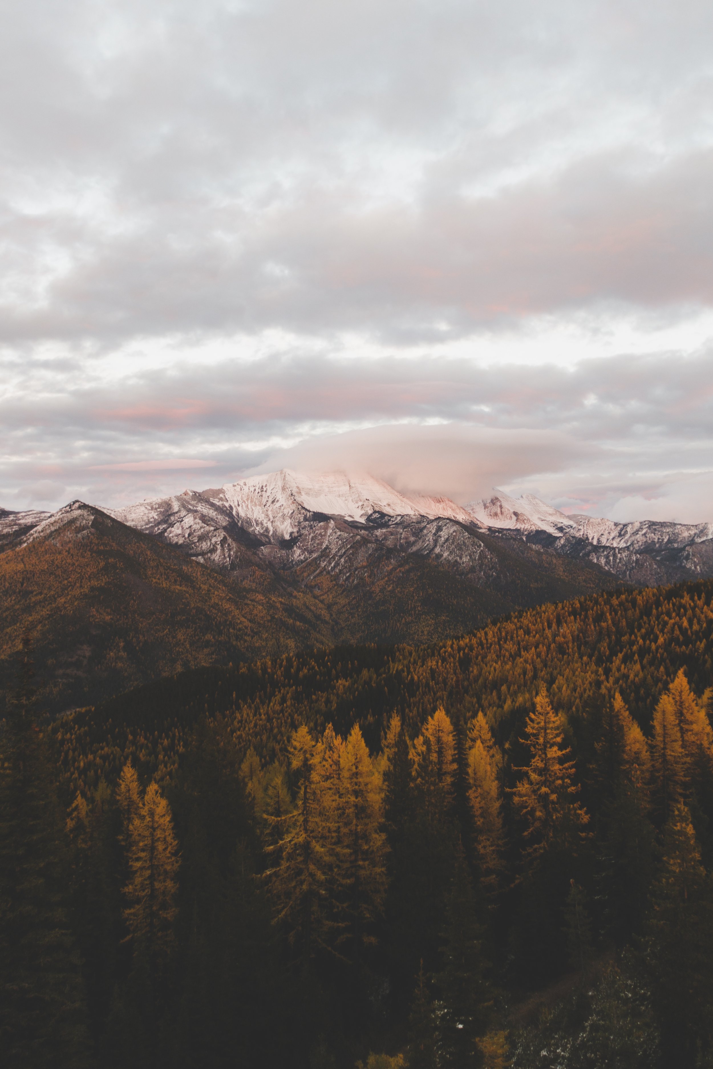 montana-7.jpg