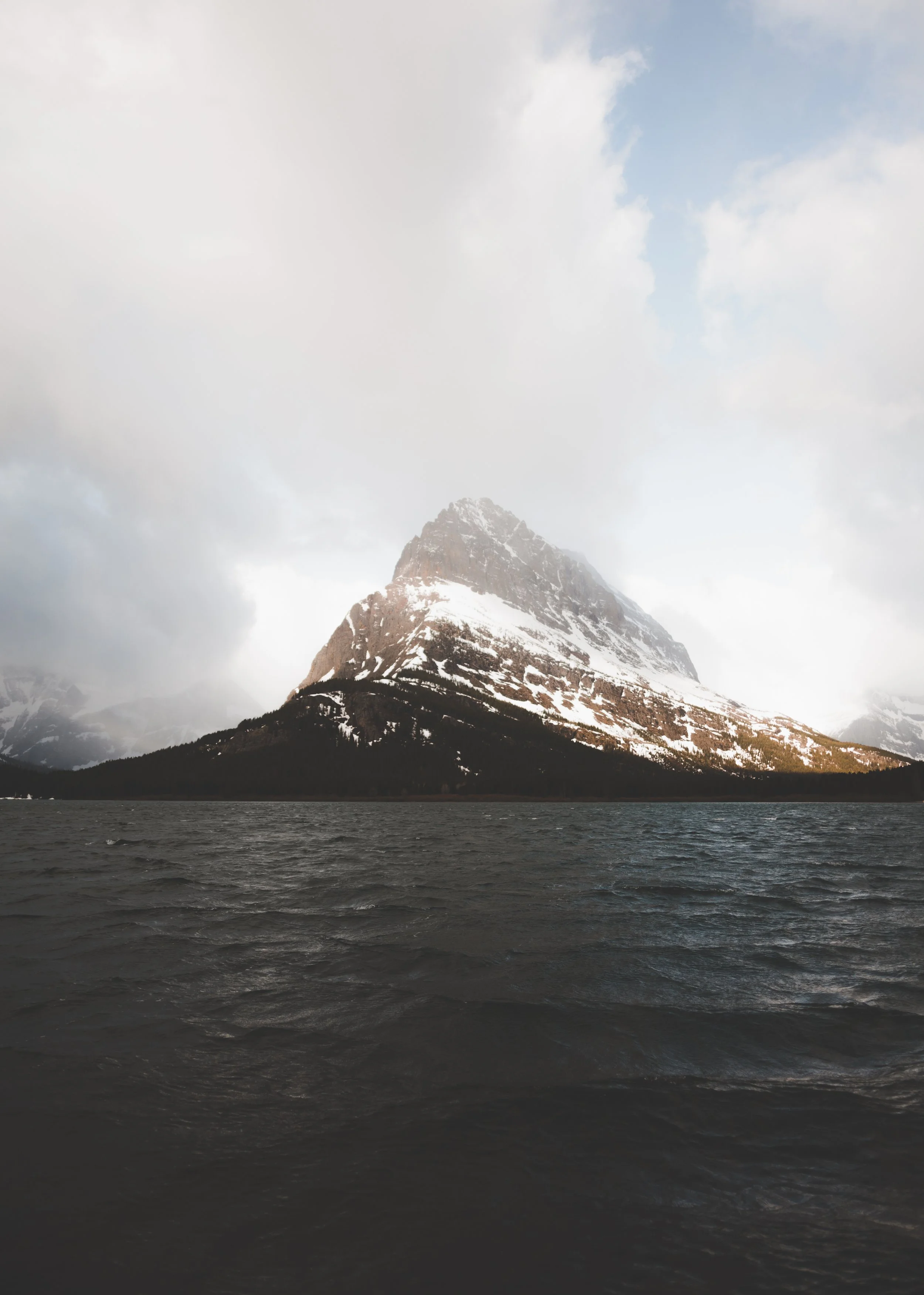 Katprint-1.jpg
