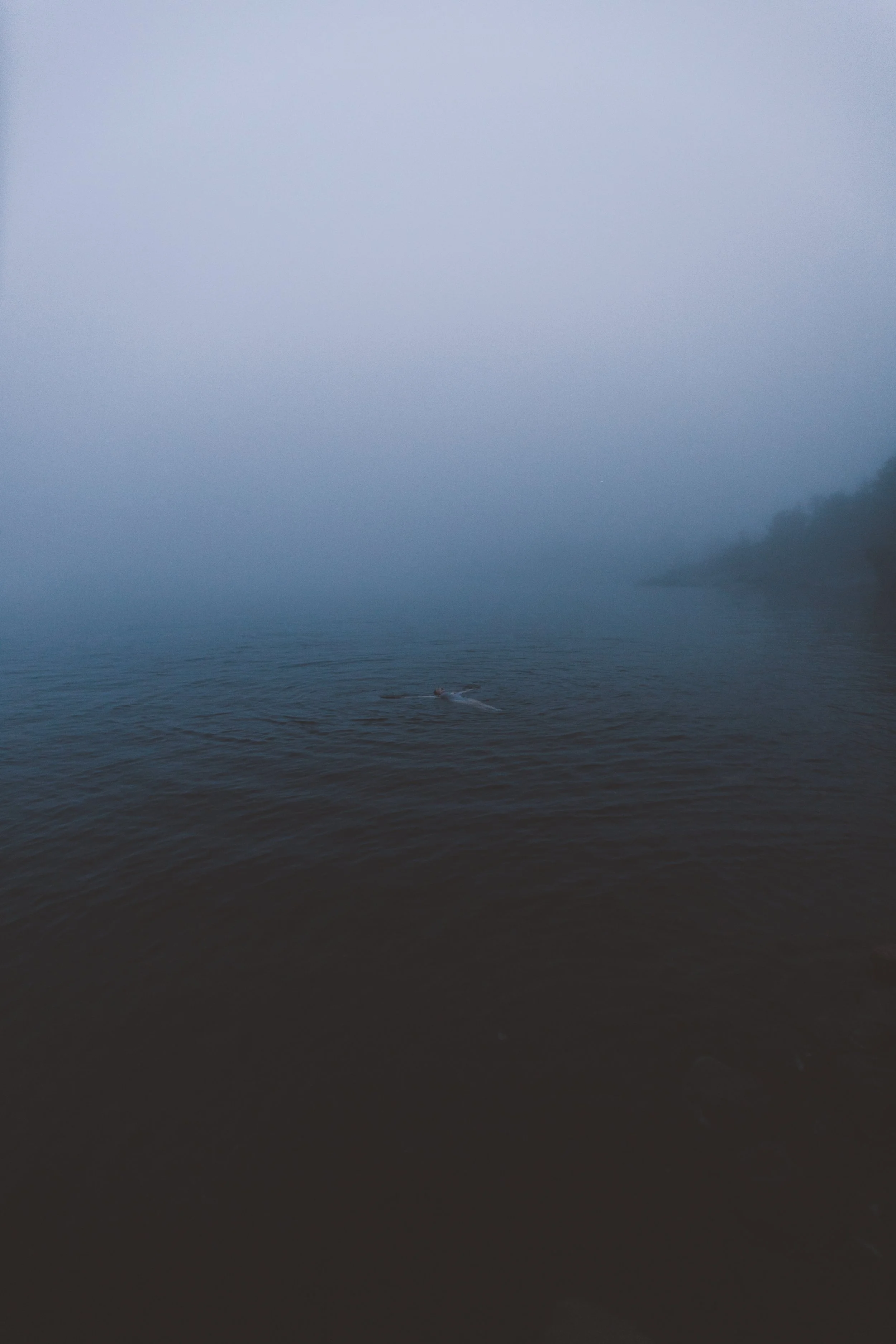 Tette-2.jpg