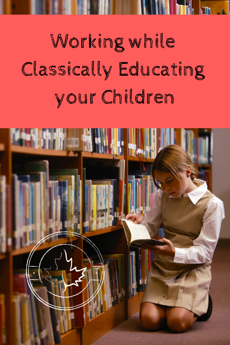 Working While Classically Educating with Hester VanBraeden episode artwork