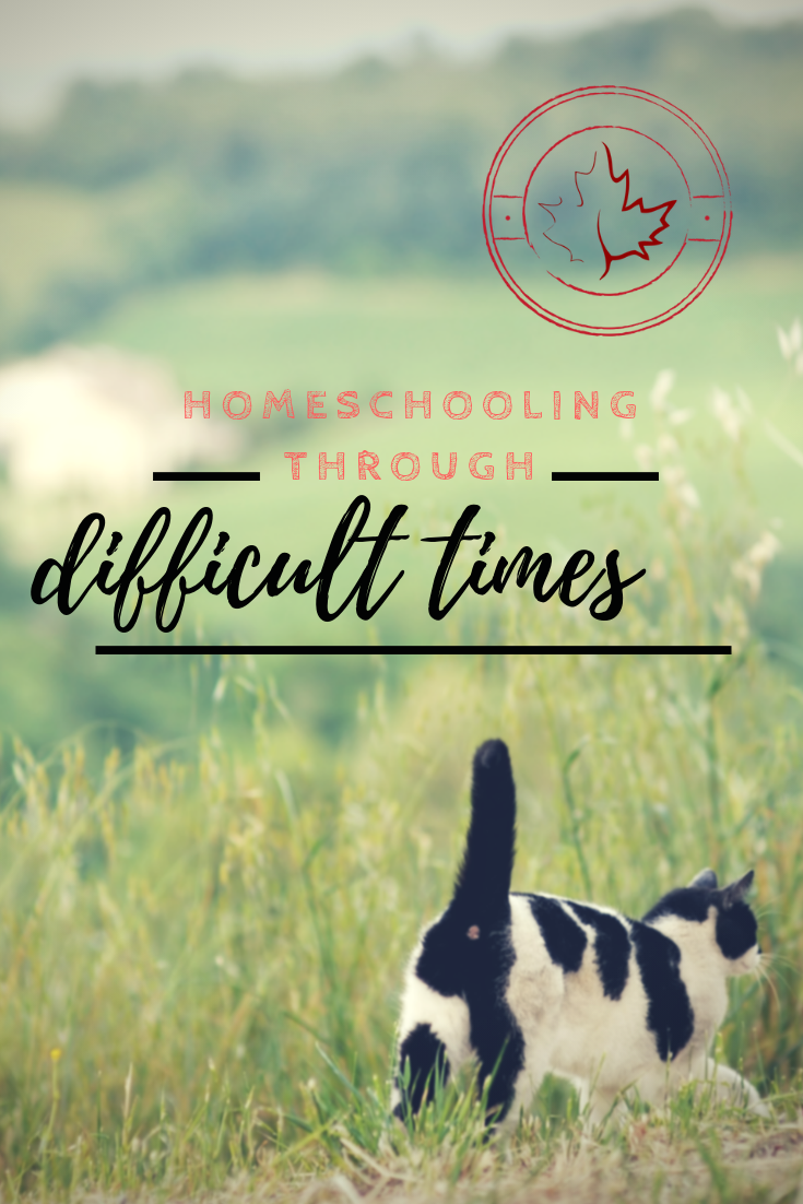 Homeschooling Through Difficult Times episode artwork