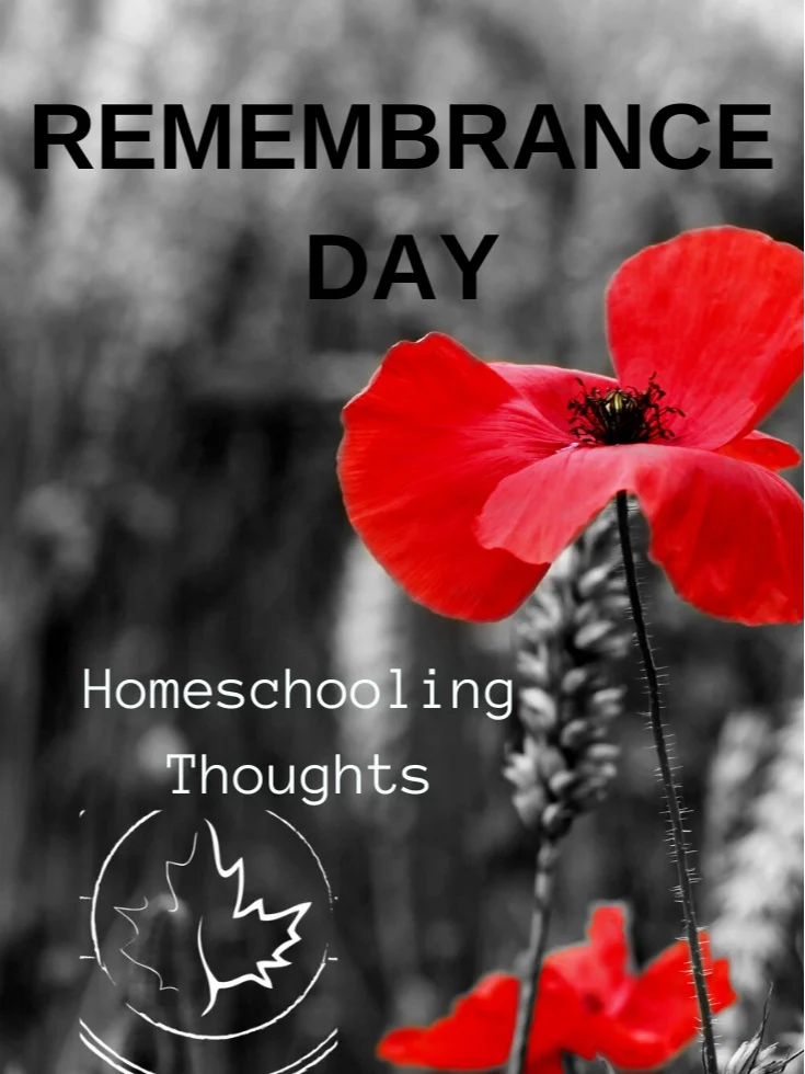 Remembrance Day episode artwork