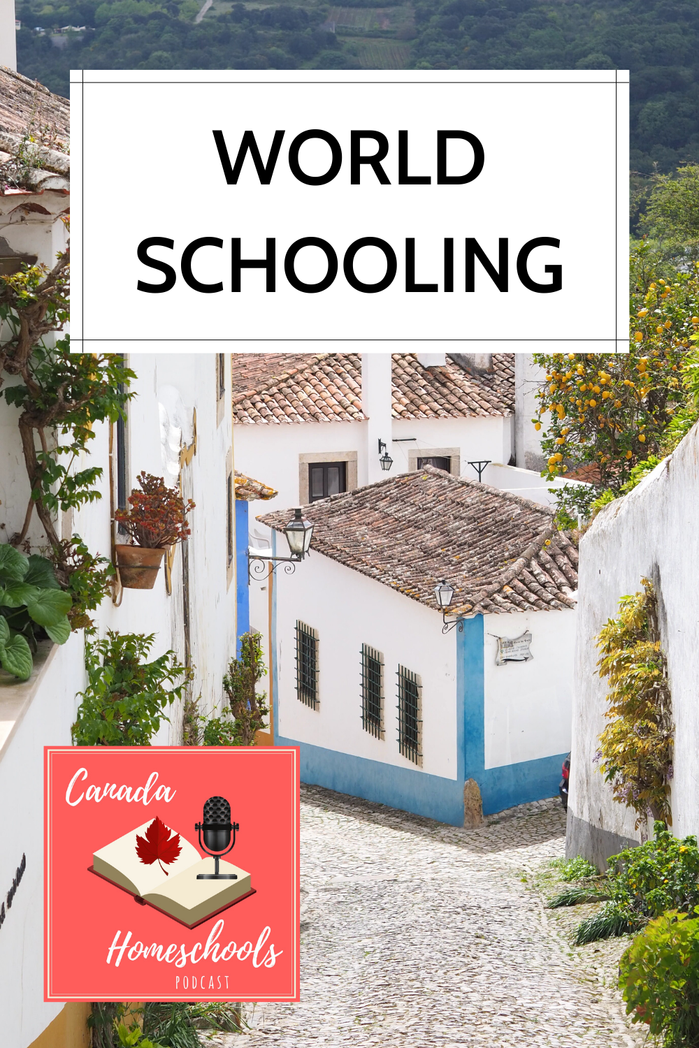 world schooling.png